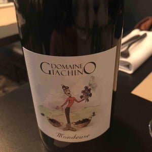 Mondeuse - Domaine Giachino - Frédéric, David & Clément Giachino 