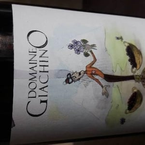Mondeuse - Domaine Giachino - frederic-david-clement-giachino