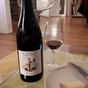 Mondeuse - Domaine Giachino - frederic-david-clement-giachino