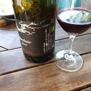 Mondeuse - Les Vins de Lavie (Savoie - until 2020) - guillaume-lavie-savoie-until-2020