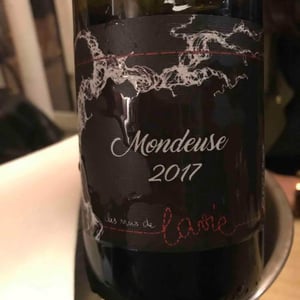 Les Vins de Lavie (Savoie - until 2020) - Guillaume Lavie (Savoie - until 2020) - Mondeuse