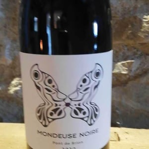 Mondeuse Noire - Domaine Jeremy Bricka - Vins Naturels D'Alp'titude - jeremy-bricka -2020
