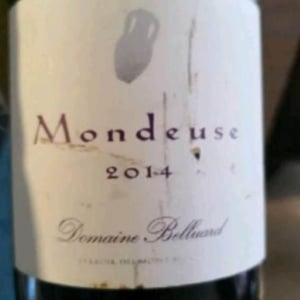 Mondeuse - Domaine Belluard (CLOSED) - Dominique Belluard (CLOSED) 