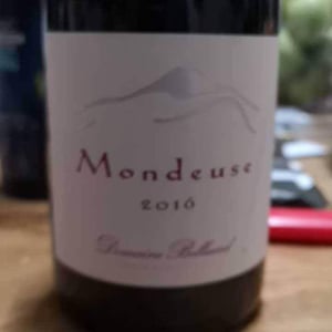 Mondeuse - Domaine Belluard (CLOSED) - dominique-belluard-closed