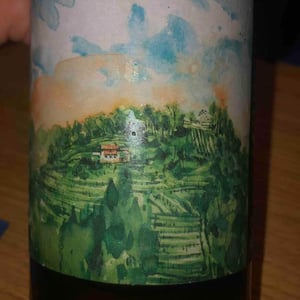 Mondragon Tranquillo - Azienda Agricola MoVe - Gabriele Perenzin 