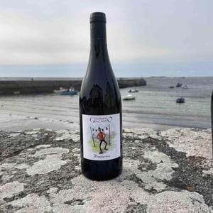 Monfarina - Domaine Giachino - frederic-david-clement-giachino