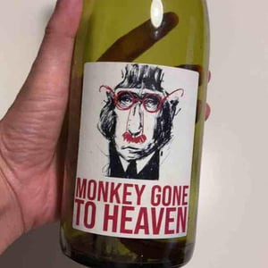 Monkey Gone To Heaven - Julien Pineau - julien-pineau -2022