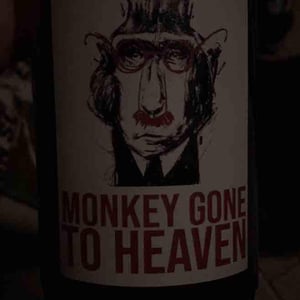 Monkey Gone To Heaven - Julien Pineau - Julien Pineau -2022