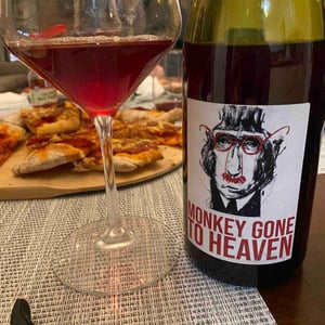 Monkey Gone To Heaven - Julien Pineau - julien-pineau -2022