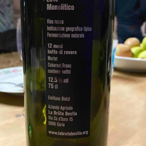 Monolitico - La Brüta Bestia - emiliano-biolzi -2019