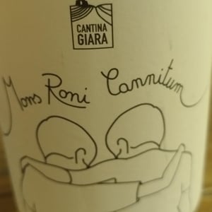 Mons Roni Cannitum - Azienda Agricola Cantina Giara - Giorgio Nicassio 