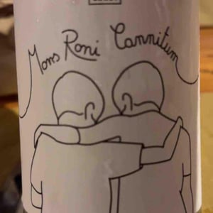 Mons Roni Cannitum - Azienda Agricola Cantina Giara - giorgio-nicassio