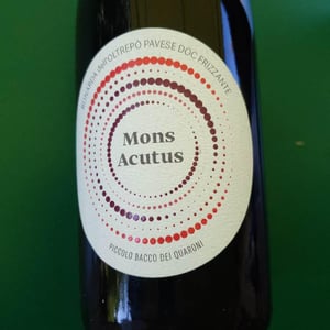 Monsieur Actus - Piccolo Bacco - Mario, Laura, Giulia & Tommaso Brazzoli -2021