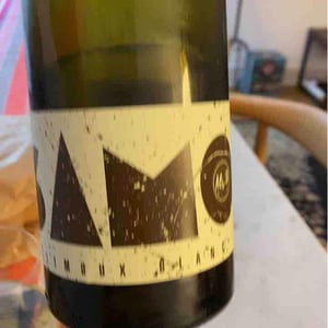 Monsieur S blanc (SAMO) - Château Saint Salvadou - etienne-fort-monsieur-s