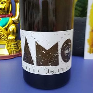 Monsieur S blanc (SAMO) - Château Saint Salvadou - etienne-fort-monsieur-s
