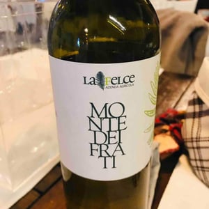 Le Felce - Andrea Marcesini - Monte Dei Frati