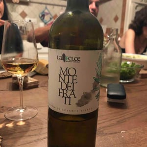 Monte Dei Frati - Le Felce - andrea-marcesini