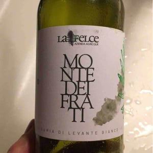 Le Felce - Andrea Marcesini - Monte Dei Frati