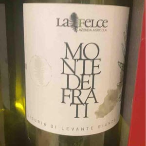 Monte Dei Frati - Le Felce - andrea-marcesini