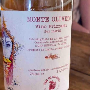 Monte Oliveto - Vigne Del Pellagroso - antonio-camazzola -2020