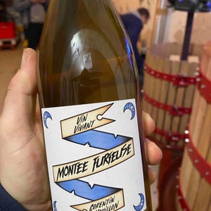 HC-vins - Corentin Houillon - Montée Furieuse