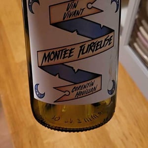 HC-vins - Corentin Houillon - Montée Furieuse