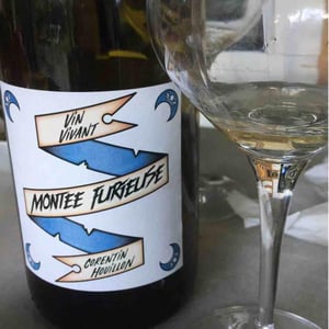 HC-vins - Corentin Houillon - Montée Furieuse