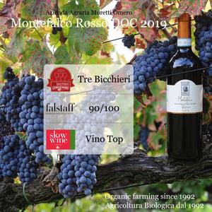 Montefalco - Azienda Agraria Moretti Omero - Moretti Omero 