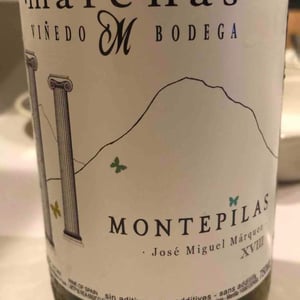 Montepilas - Marenas Viñedo y Bodega - jose-miguel-marquez-herrador