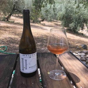 Montepilas - Marenas Viñedo y Bodega - jose-miguel-marquez-herrador