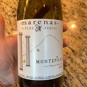 Montepilas - Marenas Viñedo y Bodega - jose-miguel-marquez-herrador