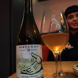 Montepilas - Marenas Viñedo y Bodega - José Miguel Márquez Herrador 