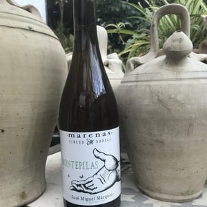 Montepilas - Marenas Viñedo y Bodega - jose-miguel-marquez-herrador