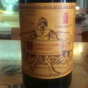 Montepulciano D'Abruzzo - Azienda Agricola Valentini - Francesco & Edoardo Valentini 