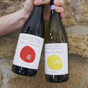 Montepulciano d'Abruzzo - Azienda Agricola Cirelli - francesco-cirelli
