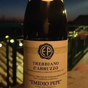 Montepulciano d'Abruzzo - Az. Agr. Emidio Pepe - daniela-sofia-pepe