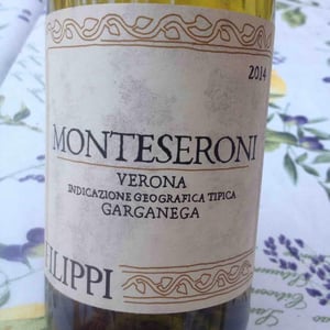 Monteseroni - Visco & Filippi Azienda Agricola - Filippo Filippi 