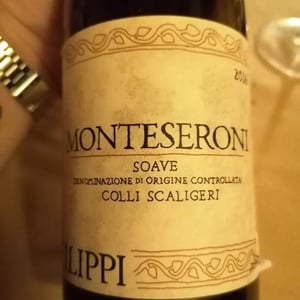 Monteseroni - Visco & Filippi Azienda Agricola - Filippo Filippi 