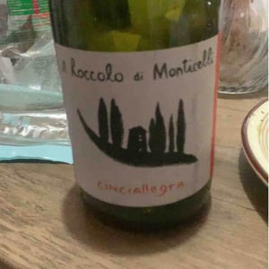 Cinciallegra s.l. - Il Roccolo di Monticelli - Silvia Tezza 