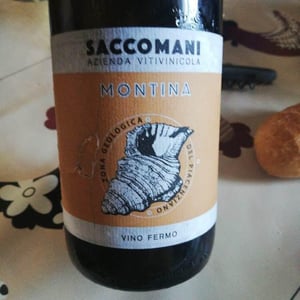 Montina - Azienda Vitivinicola Saccomani - Saccomani Giuseppe, Luca e Claudia 