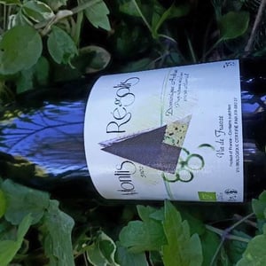 Haut-Campagnau - Dominique Andiran - Montis Régalis