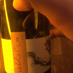 Montmain - Domaine Pattes Loup - Thomas Pico 