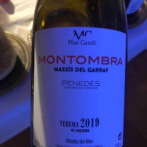 Montombra - Mas Candí - Ramón Jané, Mercé Cuscó, Toni Carbó, Ramón Galimany -2019