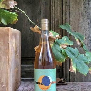 Lluna Vins orange - Bodega La encina - jose-maria-carlos-espi