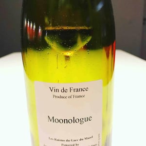 Moonologue 2014