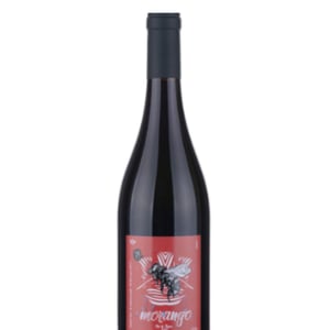 Morango - Tutti Frutti Ananas - manuel-di-vecchi-staraz-ze-carvalho-joachim-roque