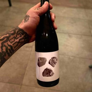 MAS DELS FILS - Celler RIM - Jordi Esteve 