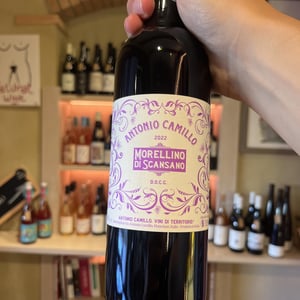 Morellino Di Scansano - Vini Di Territorio - antonio-camillo