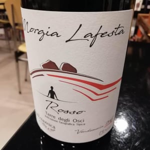 Morgia Lafesta - Rosso Terre degli Osci - Azienda Agricolavinica - rodolfo-gianserra-e-giuseppe-tudino -2016