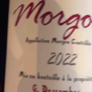 Morgon - Georges Descombes - georges-descombes